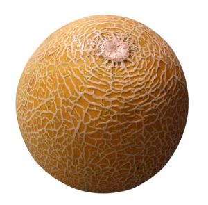 Melon