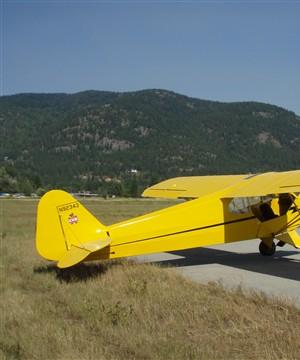 Piper Cub